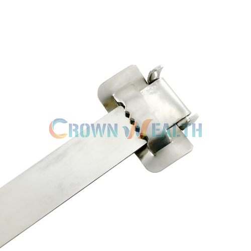 CW-SBD: Woolf Teeth Type Buckles Tie